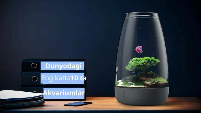 Dunyodagi eng katta akvariumlar 1