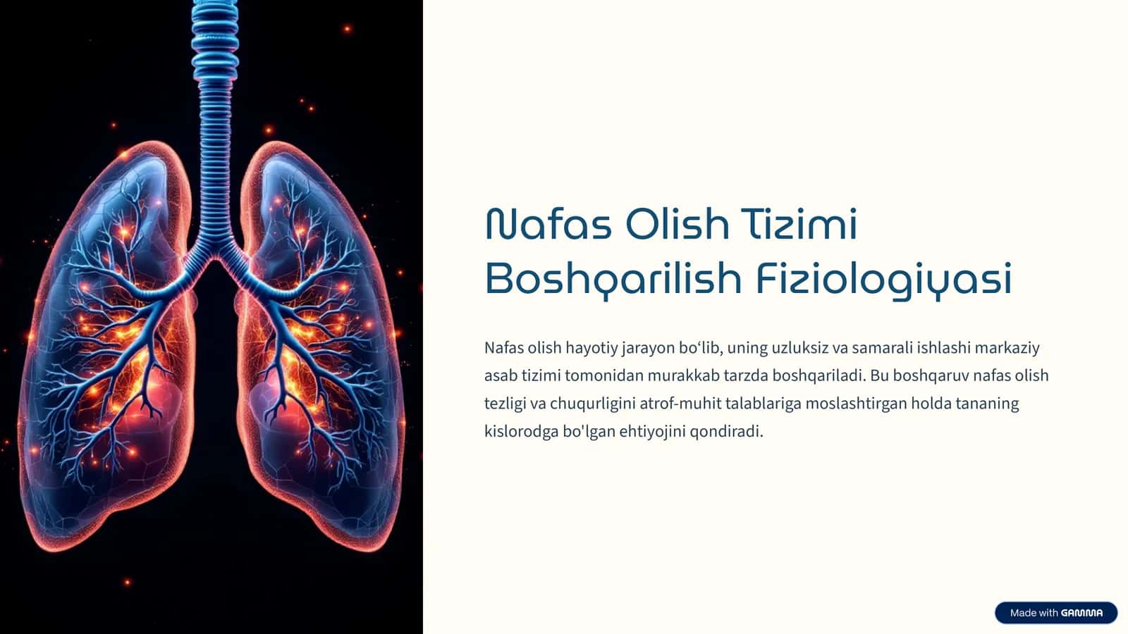 Nafas Olish Tizimi Boshqarilish Fiziologiyasi 1