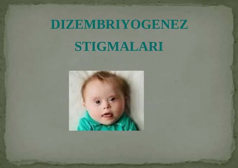 Dizembriyogenez stigmalar 1
