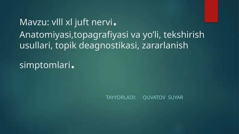 VIII JUFT DAHLIZ-CHIG‘ANOQ NERVI (n.vestibulocohlearis) 1