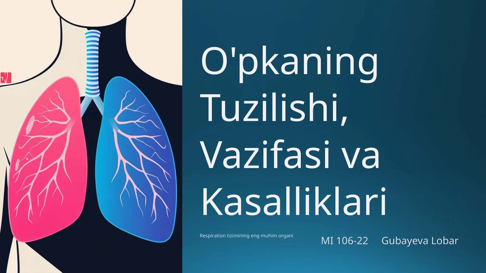 O'pkaning Tuzilishi, Vazifasi va Kasalliklari 1
