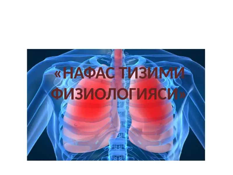 Нафас тизими физиологияси 1