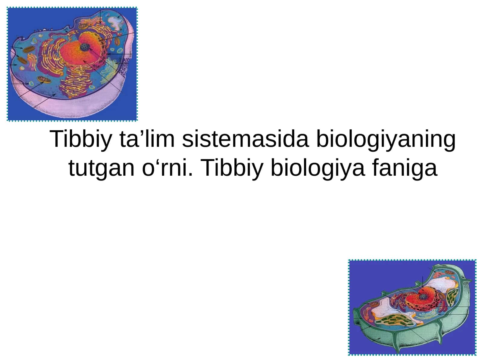 Tibbiy ta’lim sistemasida biologiyaning tutgan o‘rni. Tibbiy biologiya faniga 1