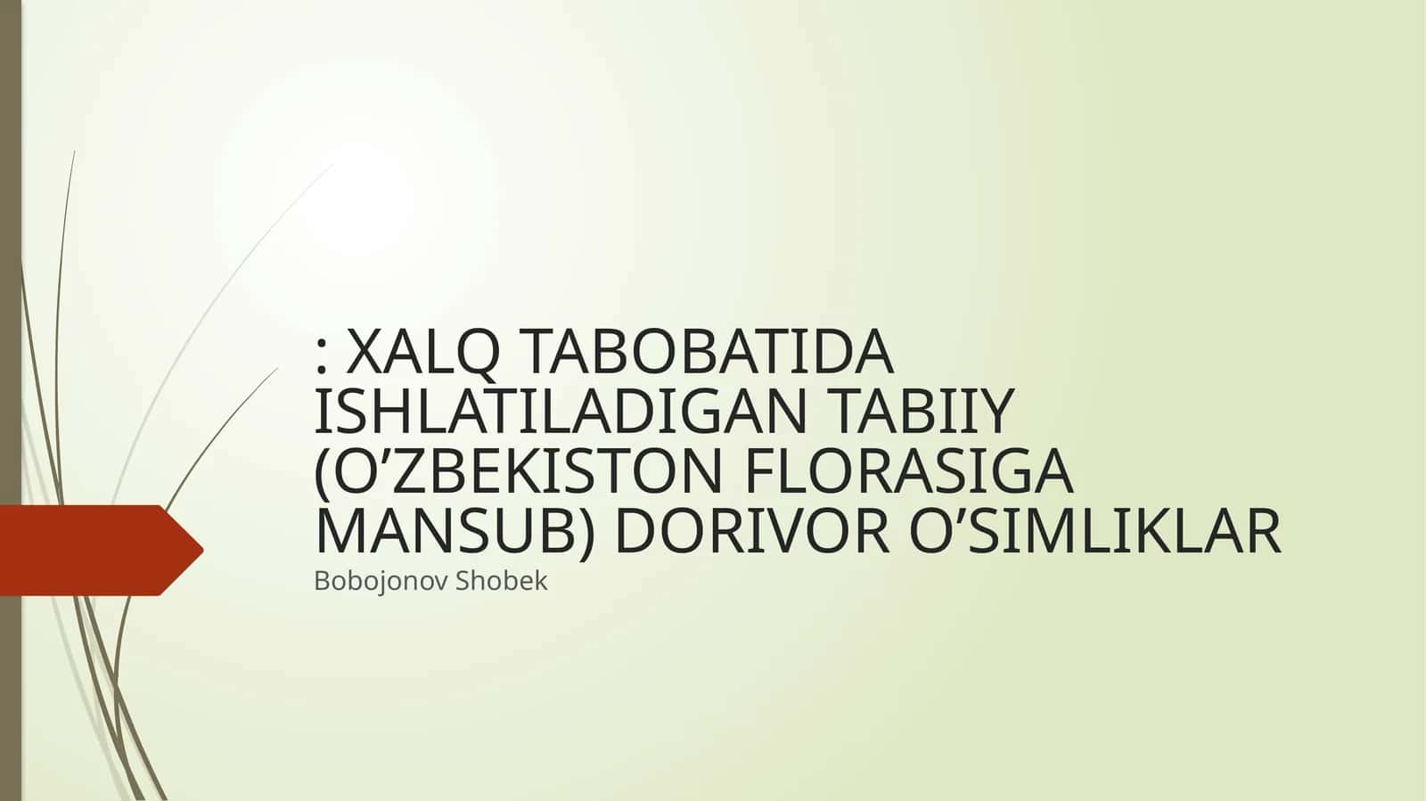OSH PIYOZ TABOBATDA QO’LLANISHI 1