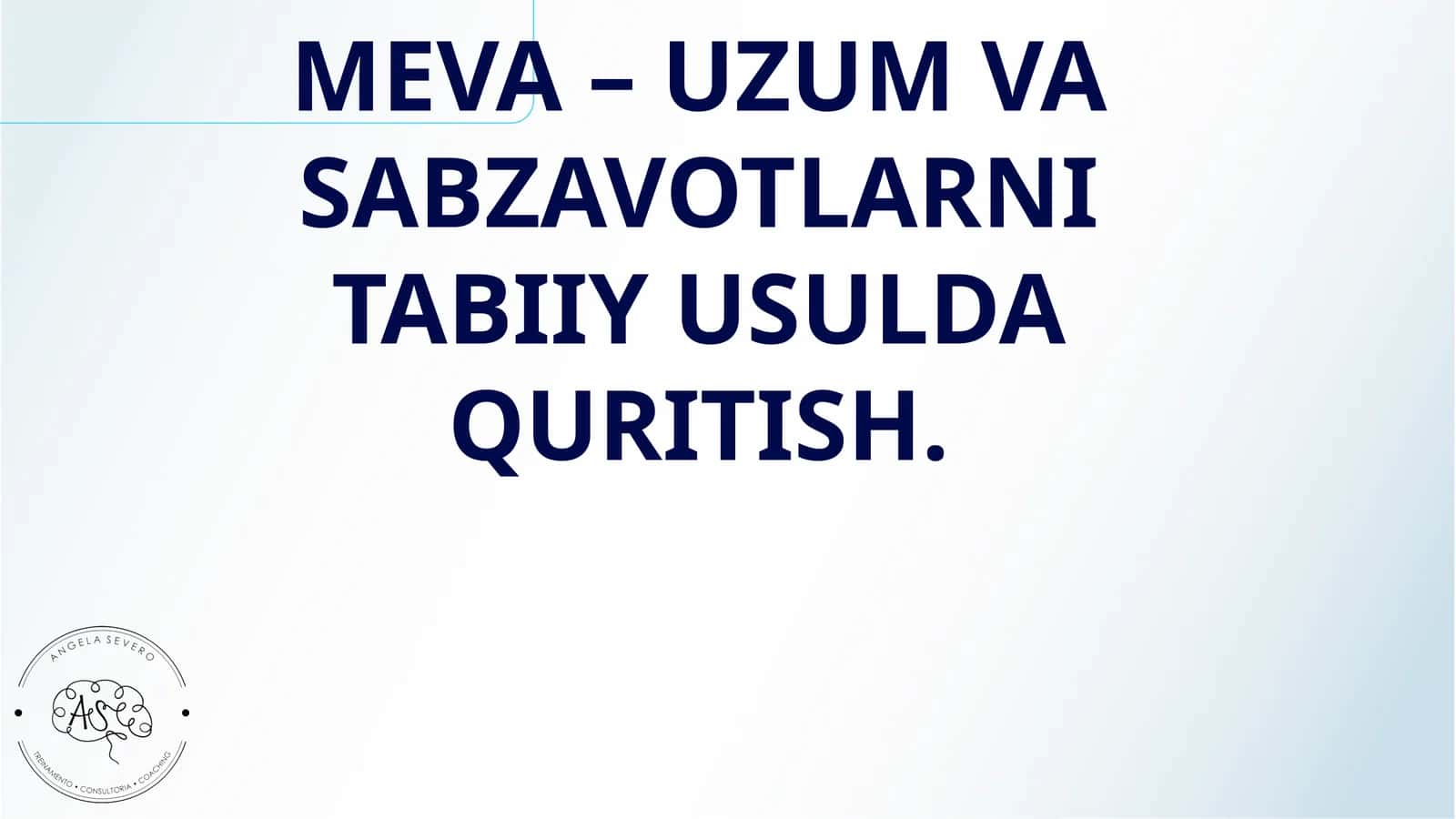 MEVA – UZUM VA SABZAVOTLARNI TABIIY USULDA QURITISH 1
