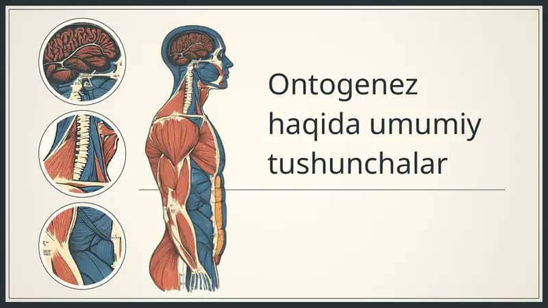 Ontogenez haqida umumiy tushunchalar 1