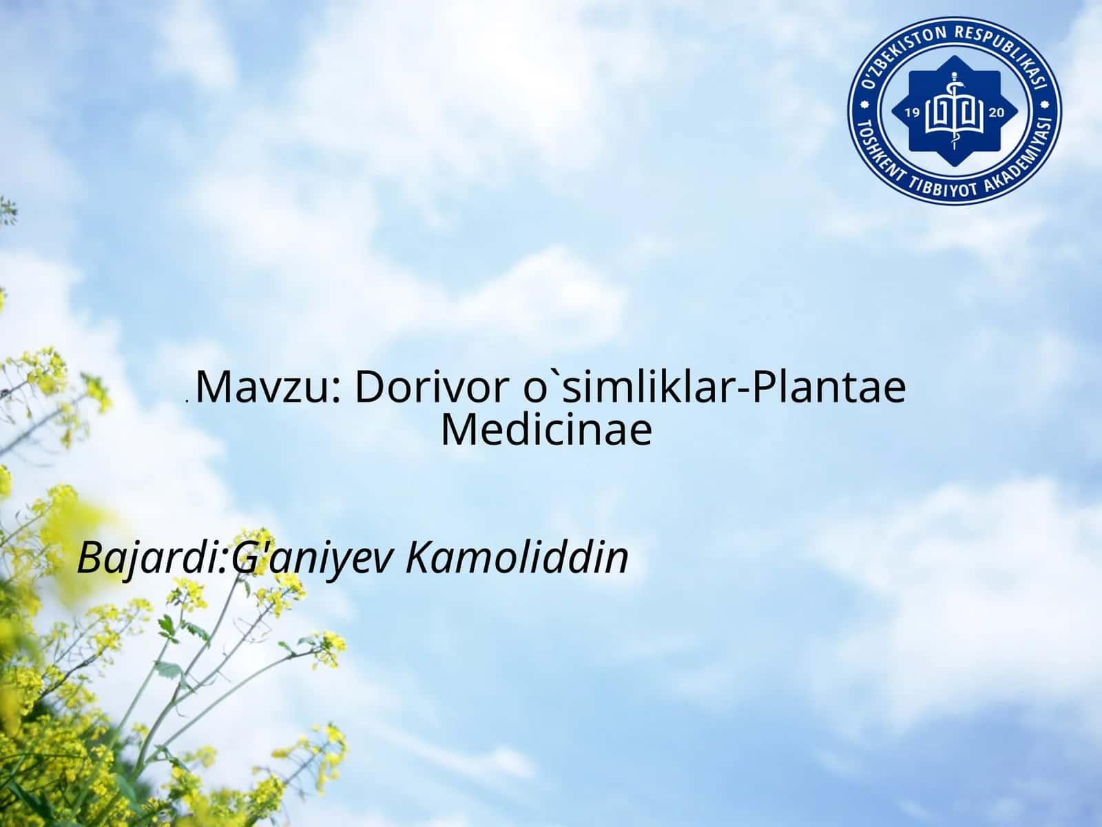 Dorivoro’simliklar-PlantaeMedicinae 1