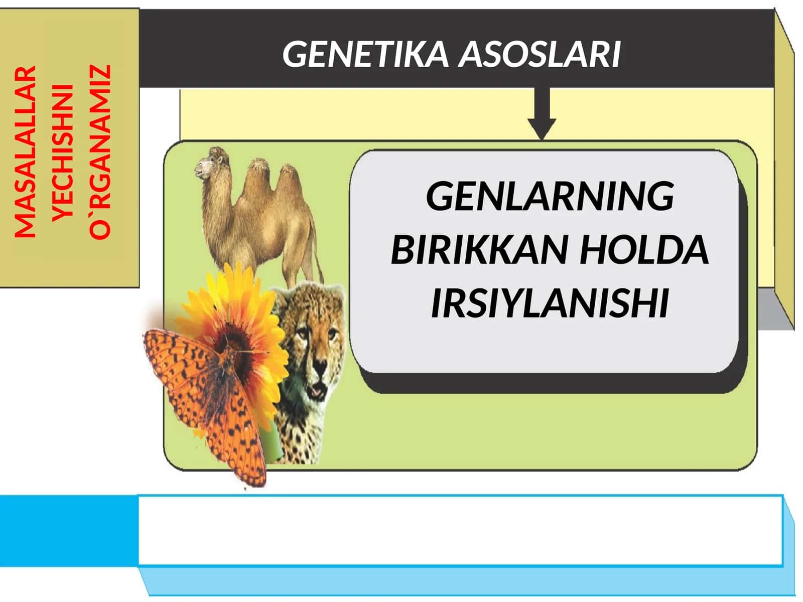 GENETIKA ASOSLARI 1