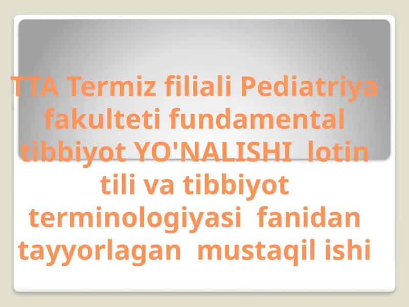 Professional tillar va ularning milliy tilda asosiy xususiyatlari. Ibn Sino Yevropa olimlari talqinida. 1