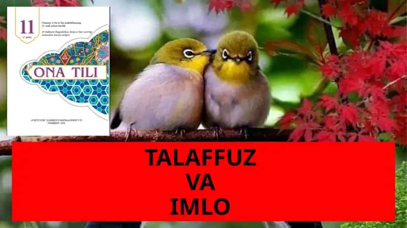 TALAFFUZ VA IMLO 1