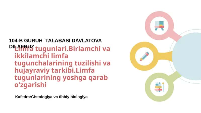 Limfa tugunlari.Birlamchi va ikkilamchi limfa tugunchalarining tuzilishi va hujayraviy tarkibi 1