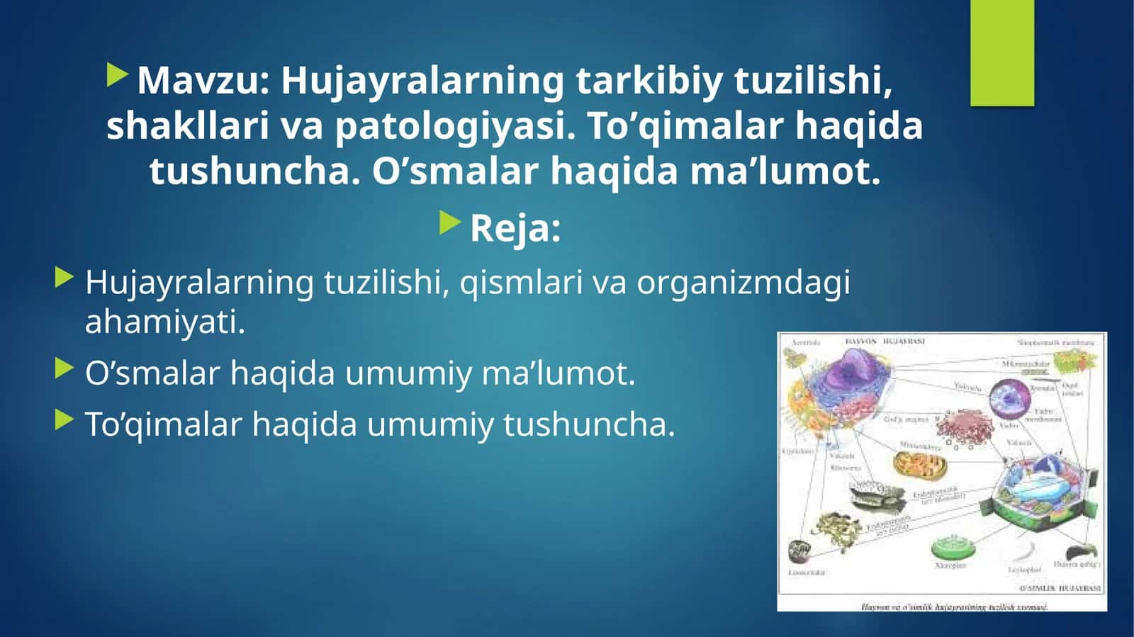 Hujayralar tuzilishi va vazifalari 1