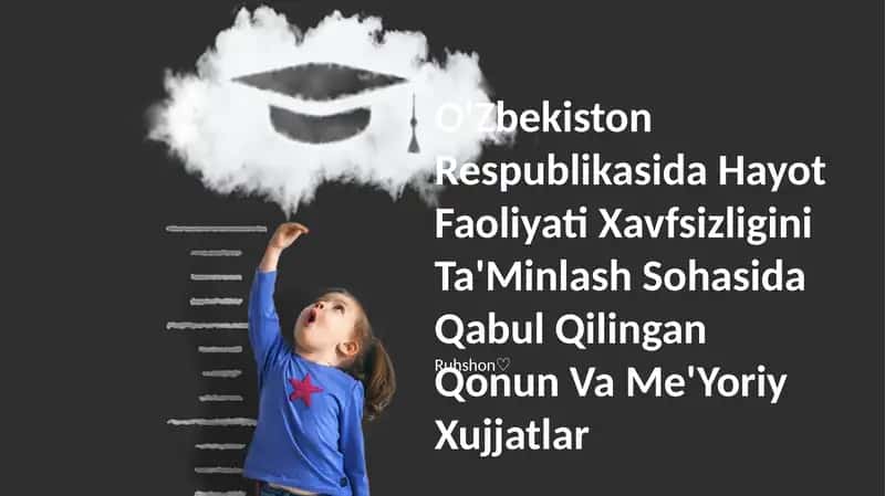 Hayot Faoliyati Xavfsizligini Ta'Minlash Sohasida Qabul Qilingan Qonun Va Me'Yoriy Xujjatlar 1