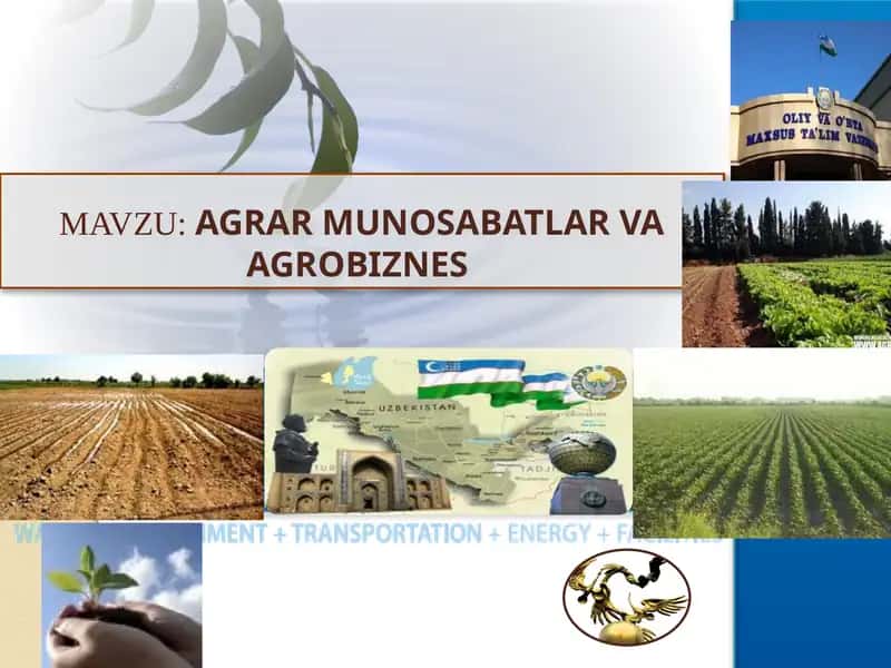AGRAR MUNOSABATLAR VA AGROBIZNЕS 1