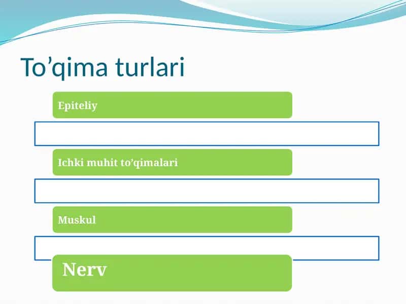 To’qima turlari 1