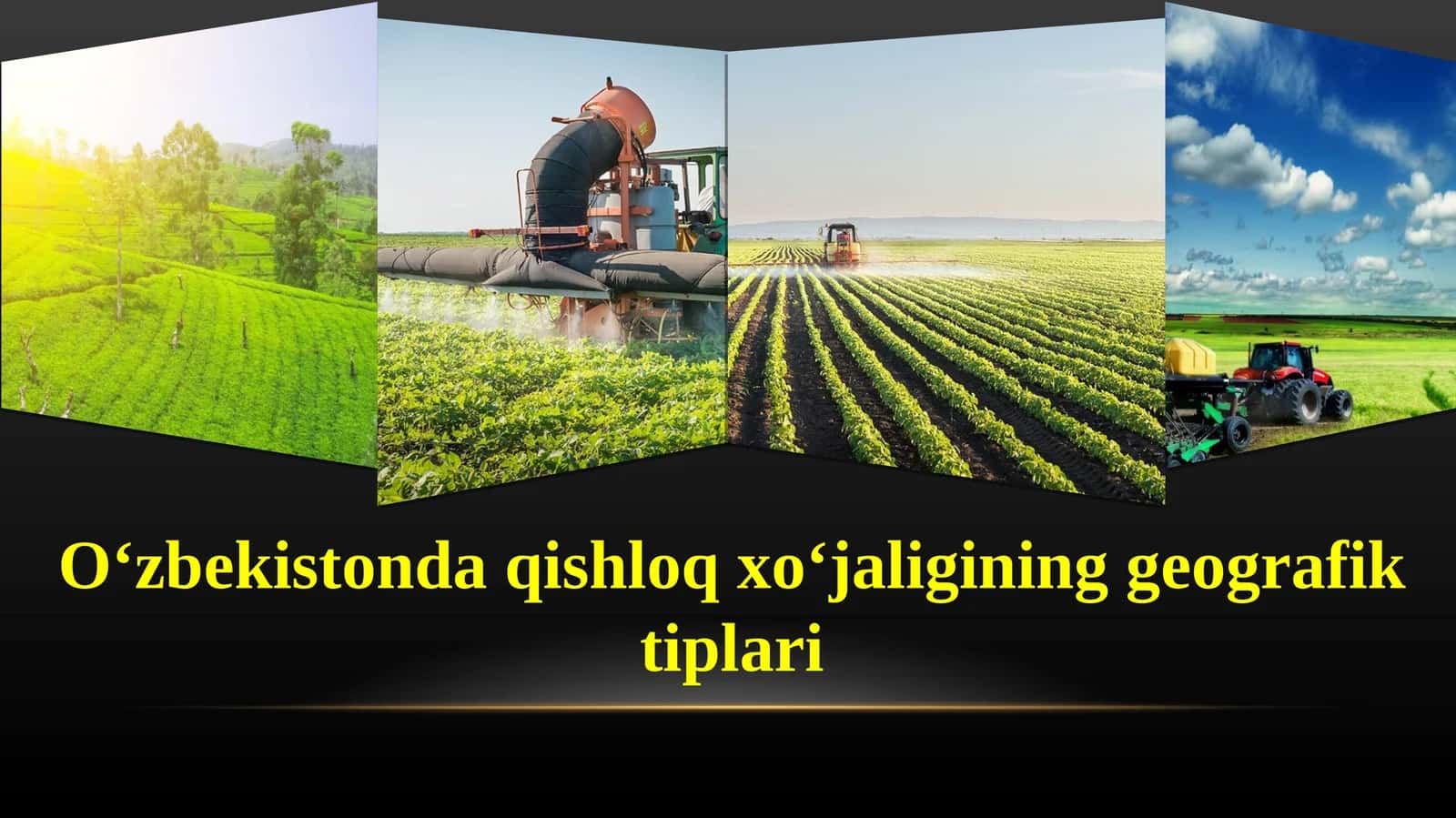 O‘zbеkistоndа qishlоq хo‘jаligining gеоgrаfik tiplаri 1