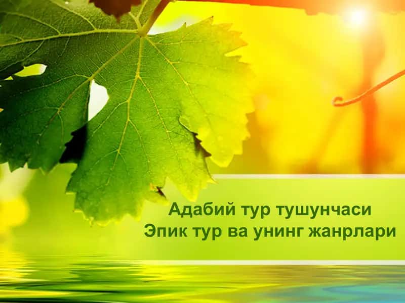 Адабий тур тушунчаси 1