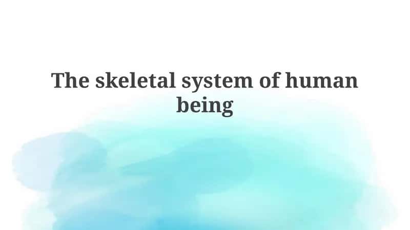 The skeletal system of human being 1