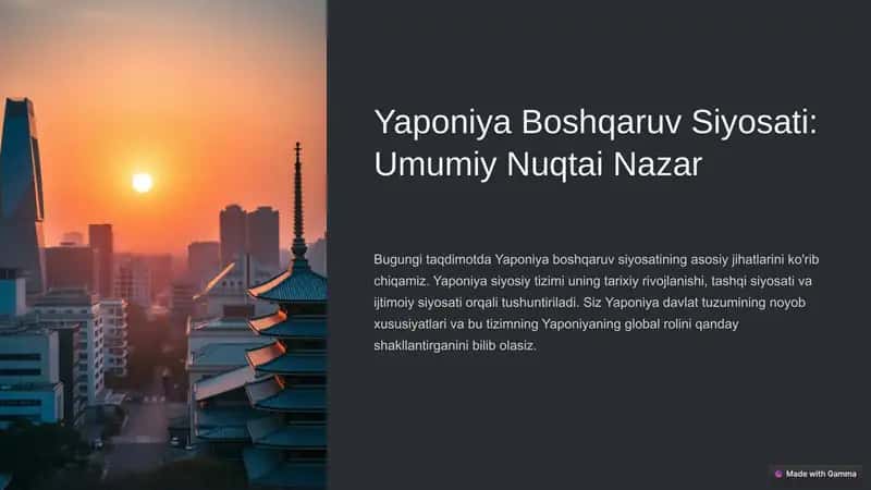 Yaponiya Boshqaruv Siyosati: Umumiy Nuqtai Nazar 1