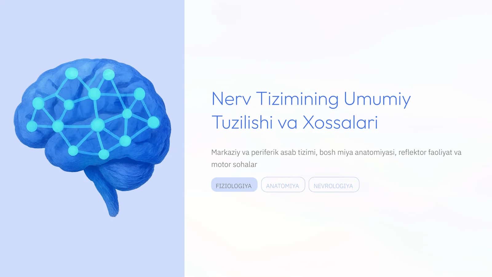 Nerv Tizimining Umumiy Tuzilishi va Xossalari 1