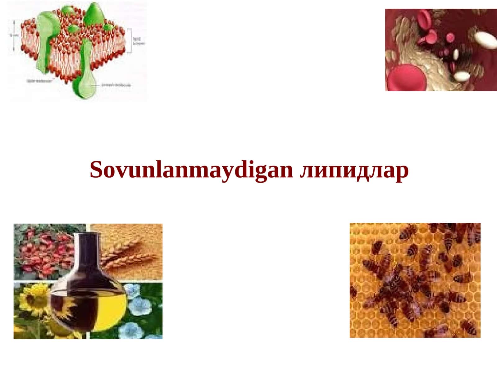 Sovunlanmaydigan lipidlar 1