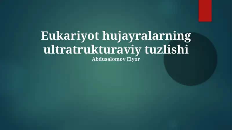 Eukariyot hujayralarning ultratrukturaviy tuzlishi 1