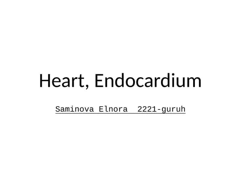 Endocardium 1