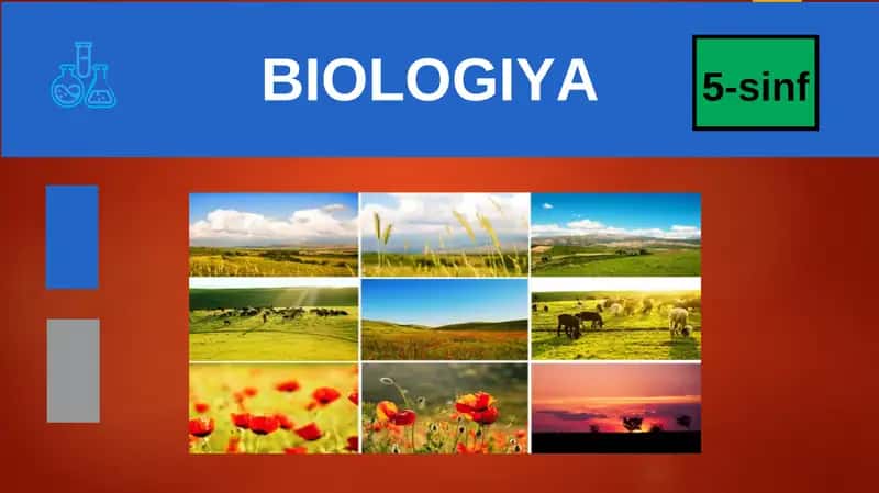 BIOLOGIYA 5-sinf MUSTAHKAMLASH 1