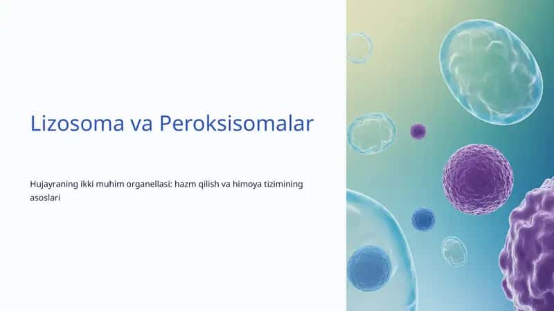 Lizosoma va Peroksisomalar 1