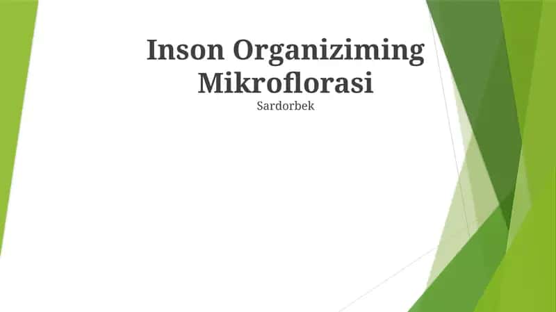 Inson Organiziming Mikroflorasi 1