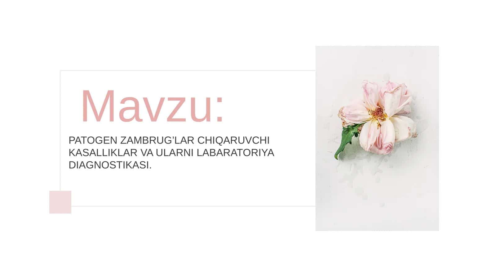 PATOGEN ZAMBRUG’LAR CHIQARUVCHI KASALLIKLAR VA ULARNI LABARATOR DIAGNOSTIKASI 1