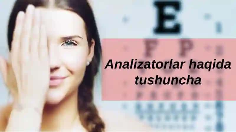 Analizatorlar haqida tushuncha