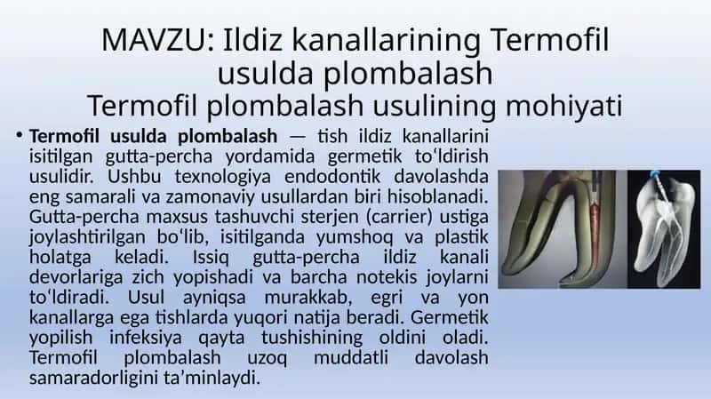 Ildiz kanallarining Termofil usulda plombalash 1