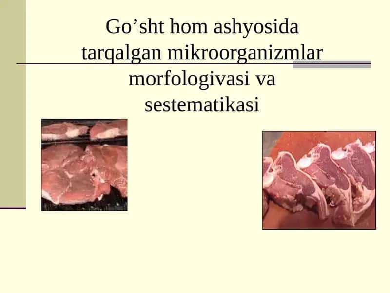 Go’sht hom ashyosida tarqalgan mikroorganizmlar morfologivasi va sestematikasi 1