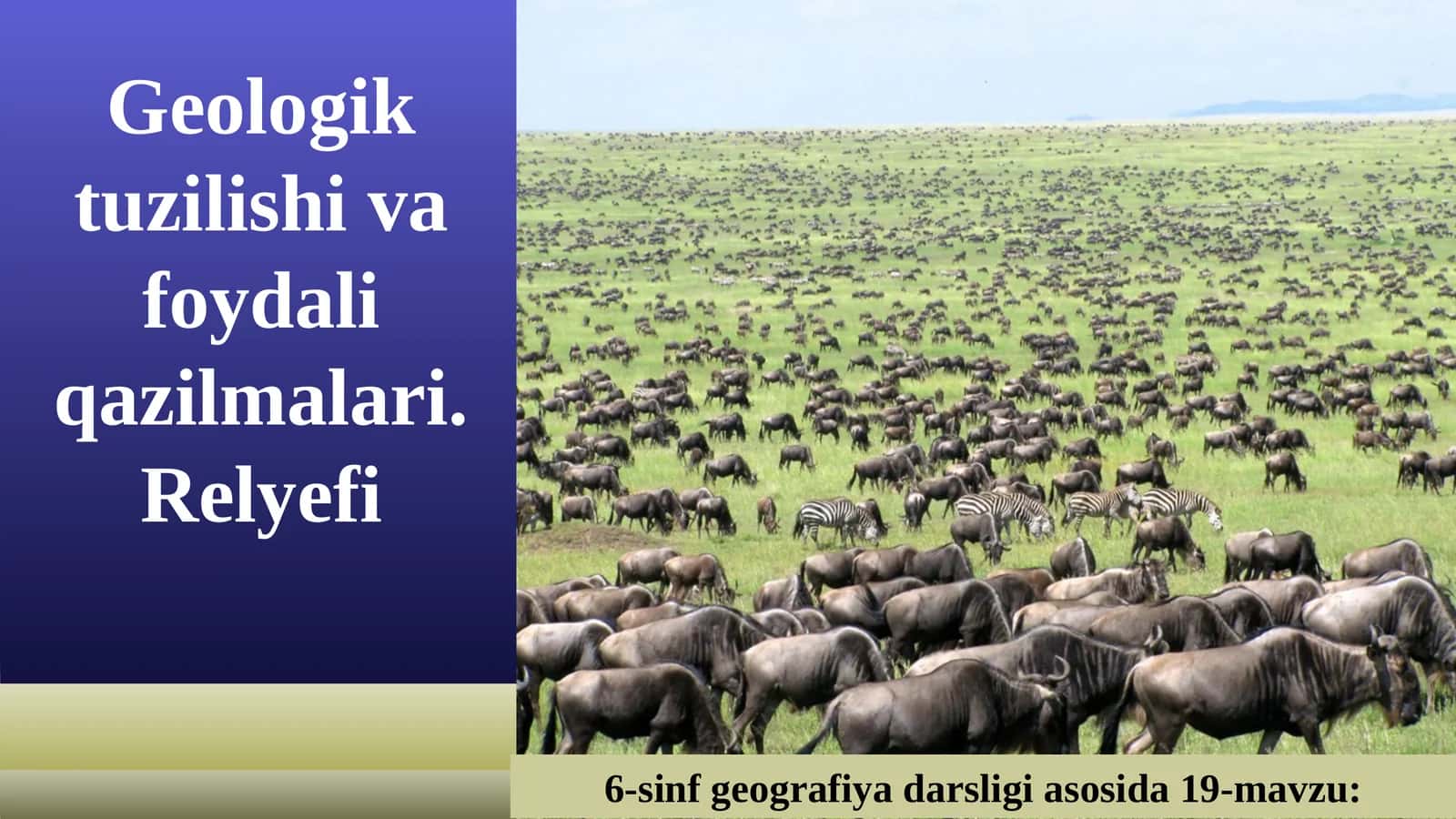 Geologik tuzilishi va foydali qazilmalari. Relyefi 1