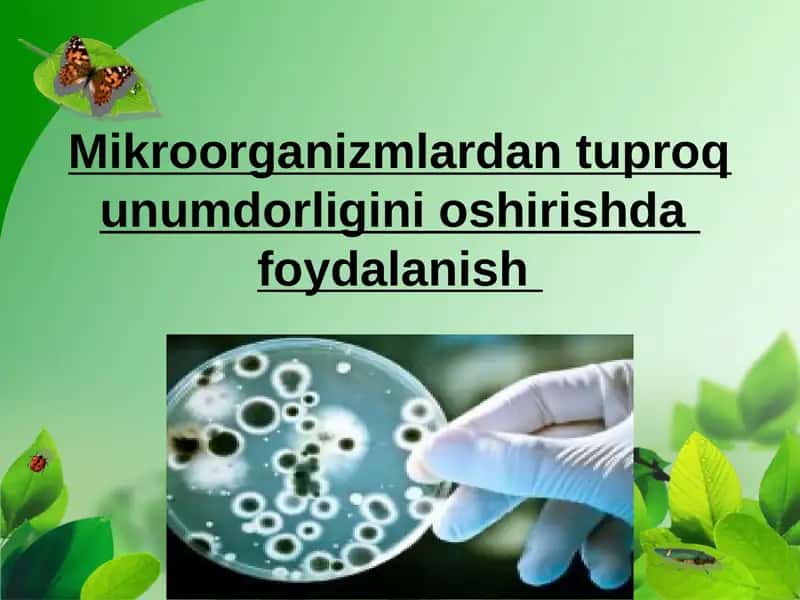 Mikroorganizmlardan tuproq unumdorligini oshirishda  foydalanish 1