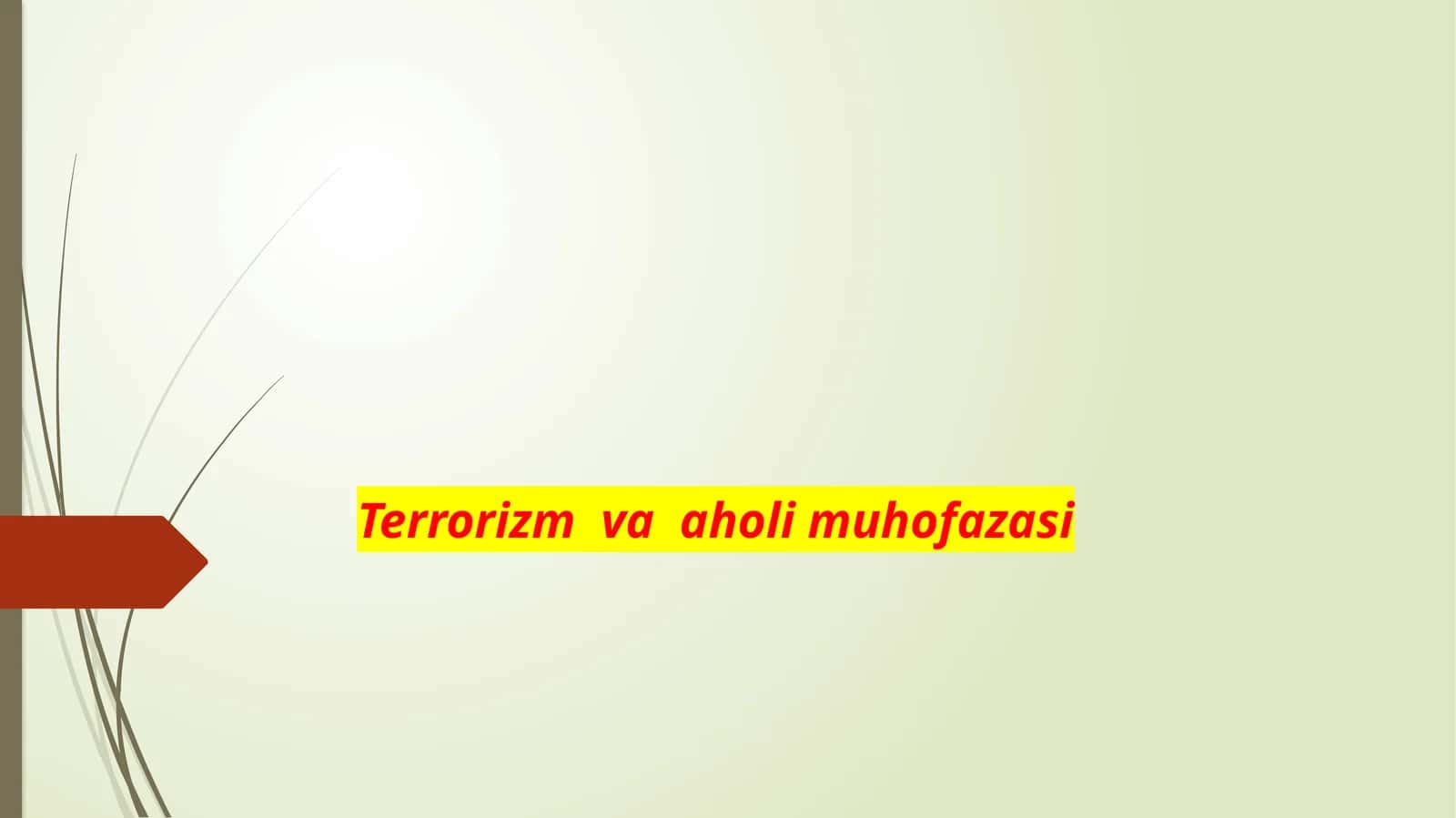 Terrorizm va aholi muhofazasi 1