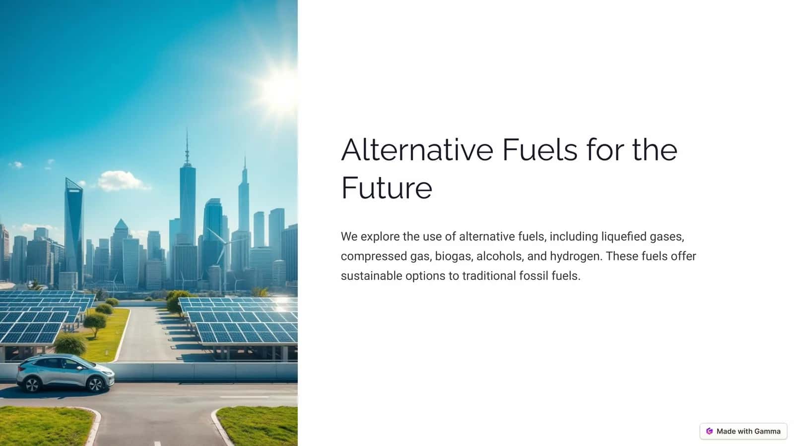 Alternative Fuels for the Future 1