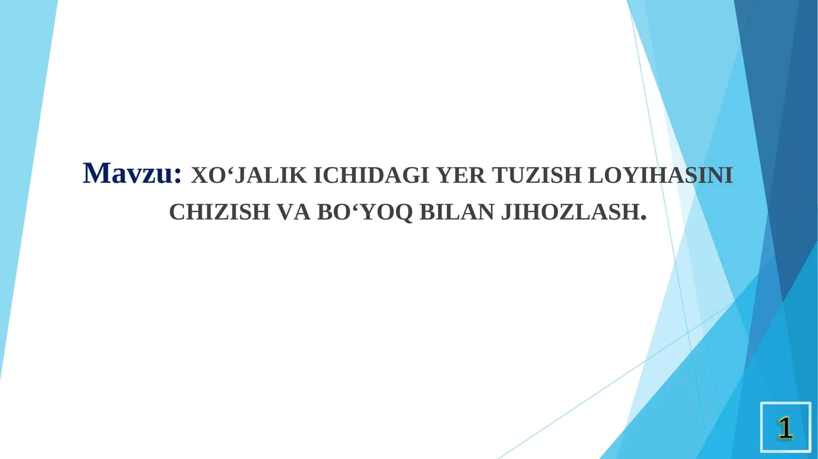 XO‘JALIK ICHIDAGI YER TUZISH LOYIHASINI CHIZISH VA BO‘YOQ BILAN JIHOZLASH 1