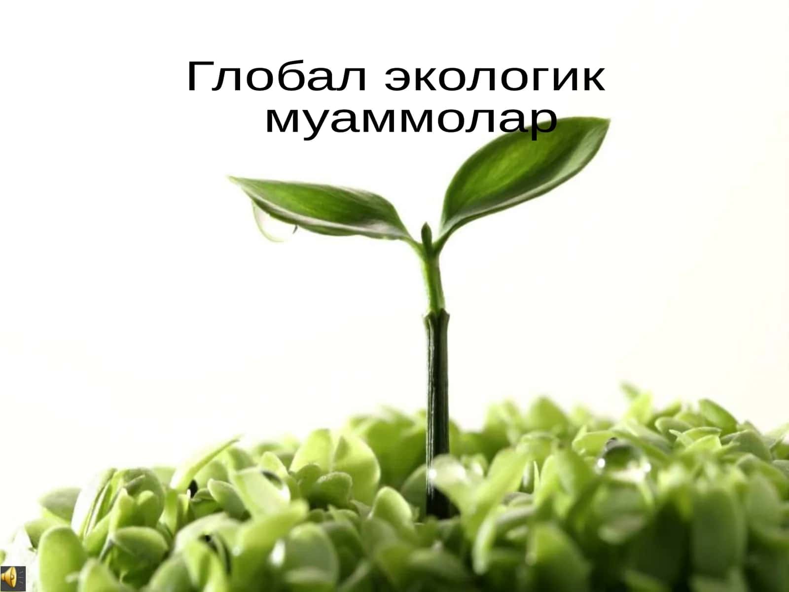 Глобал экологик муаммолар 1