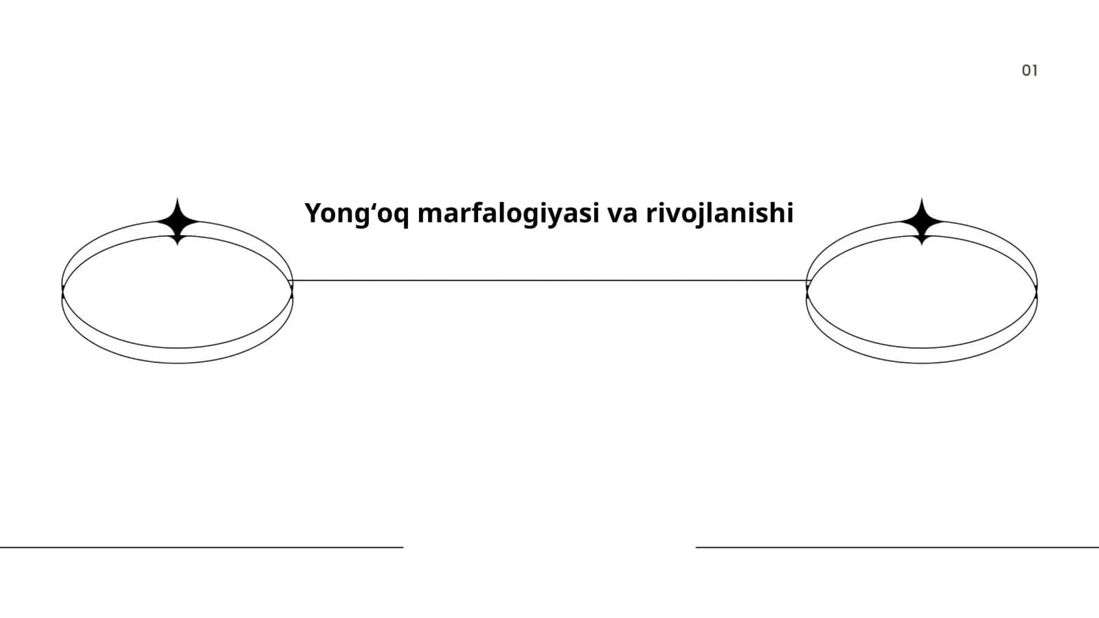 Yongʻoq marfalogiyasi va rivojlanishi 1
