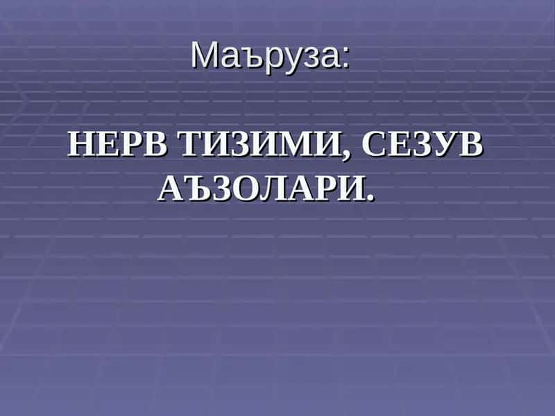 НЕРВ ТИЗИМИ,СЕЗУВ АЪЗОЛАРИ 1