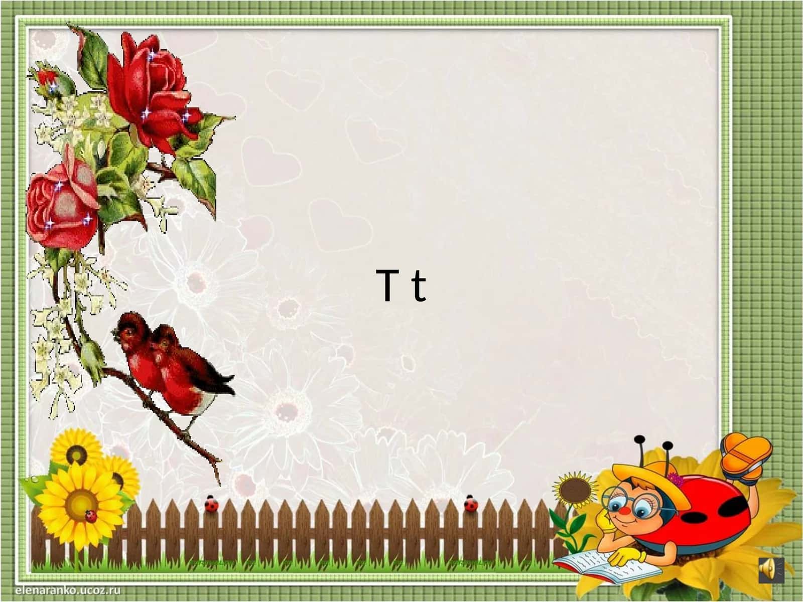 Tommit-ti 1