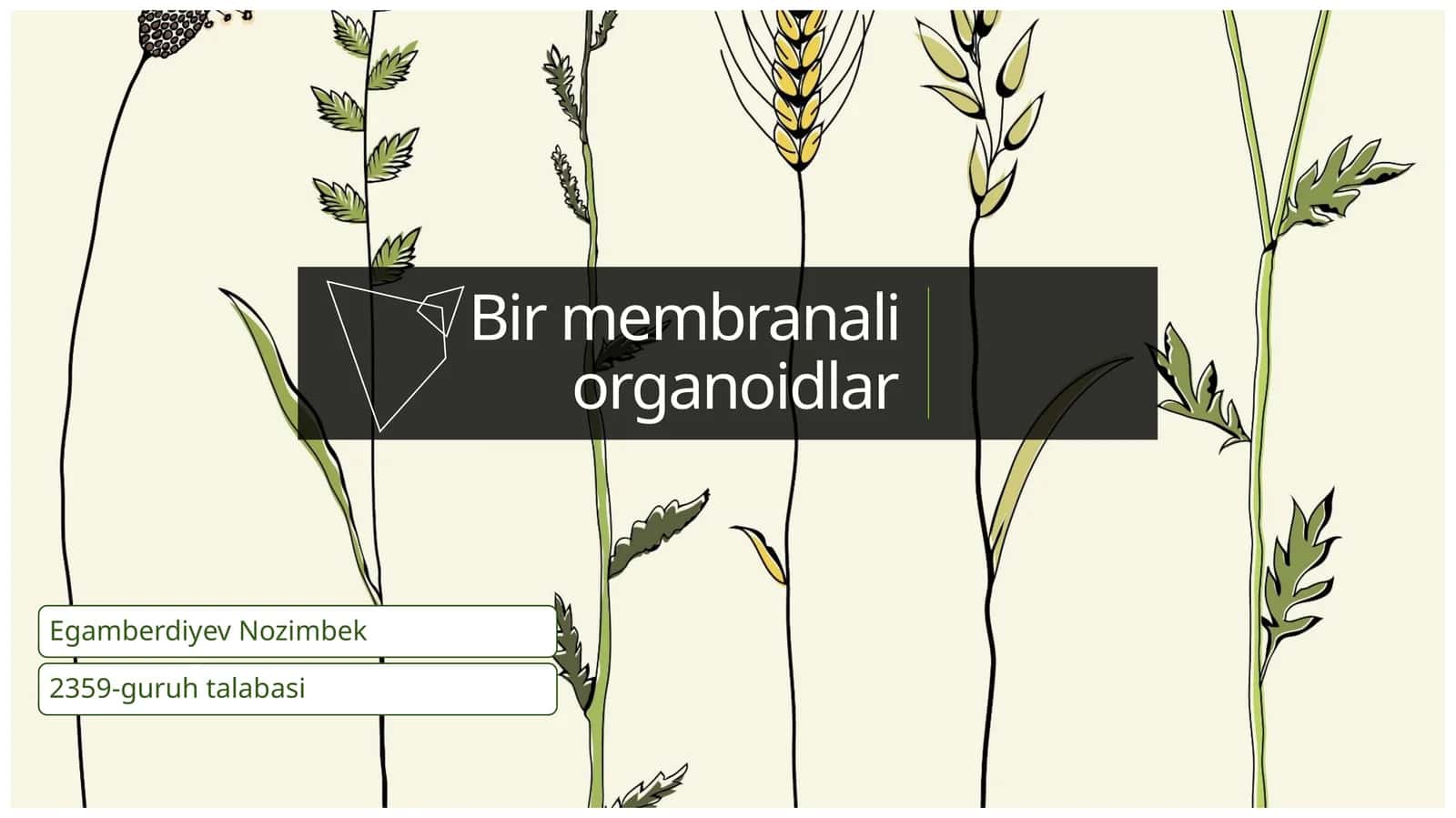Bir membranali organoidlar 1