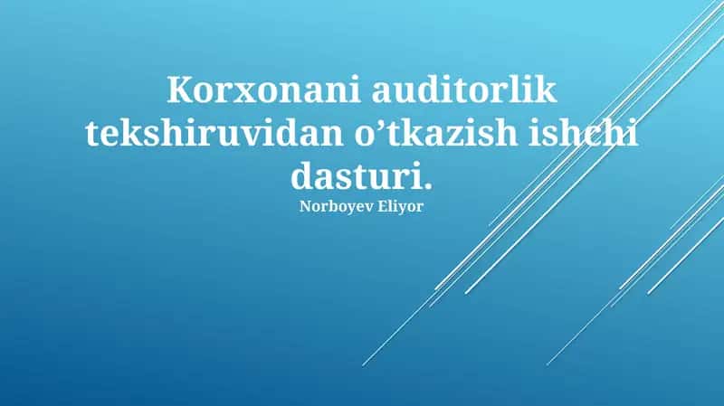 Korxonani auditorlik tekshiruvidan o’tkazish ishchi dasturi 1