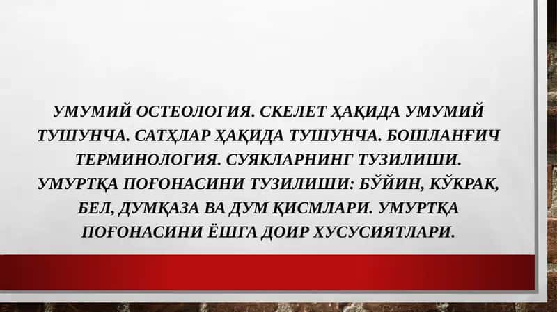 Умумий остеология 1