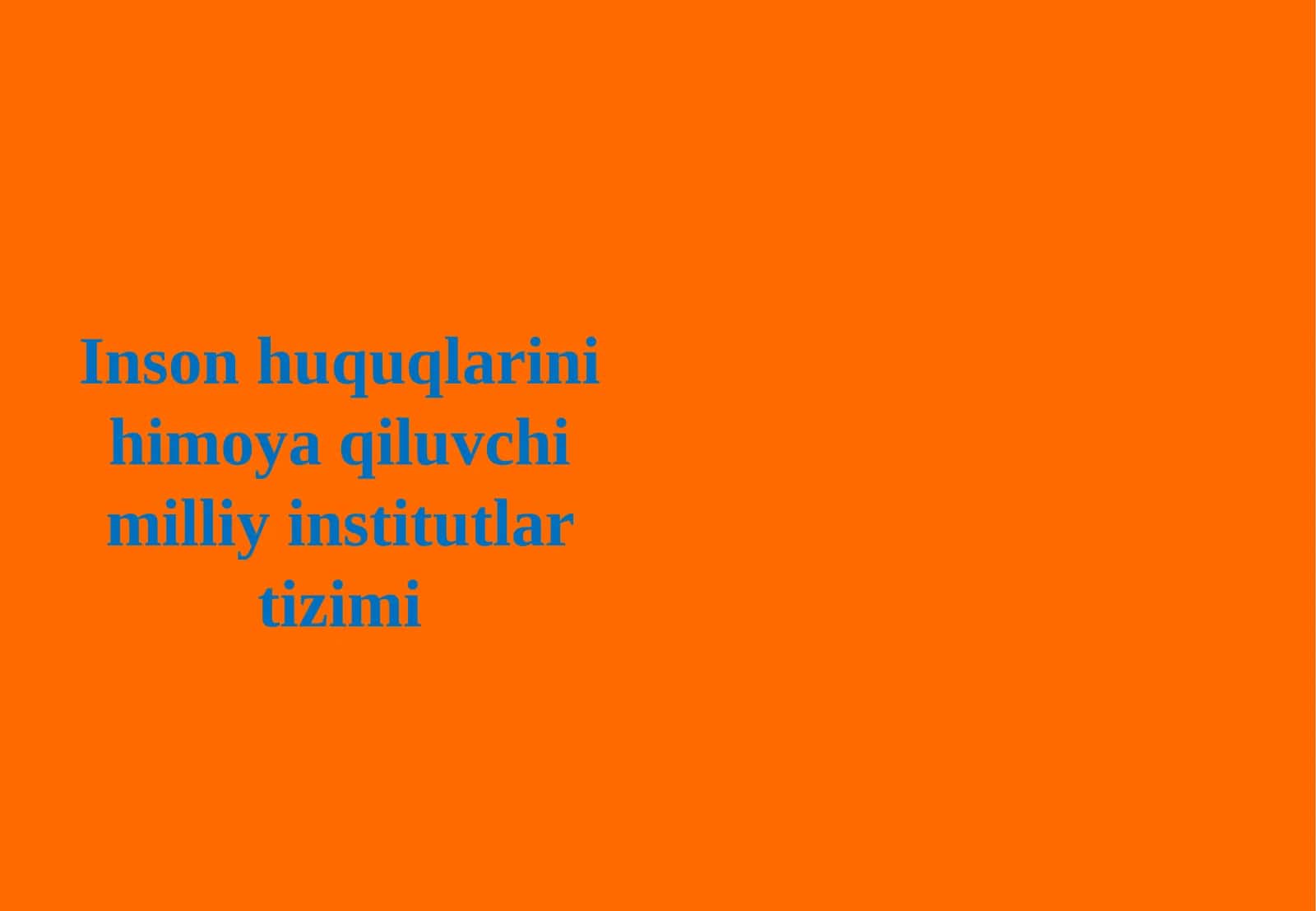 Inson huquqlarini himoya qiluvchi milliy institutlar tizimi 1