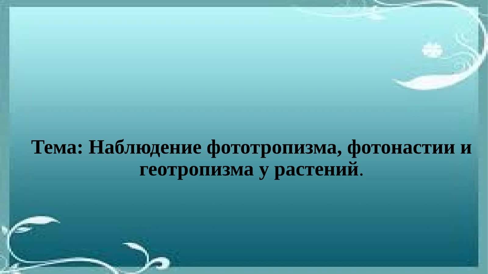 Фототропизм, фотонастии ва геотропизм наблюдениялари у растениялар 1