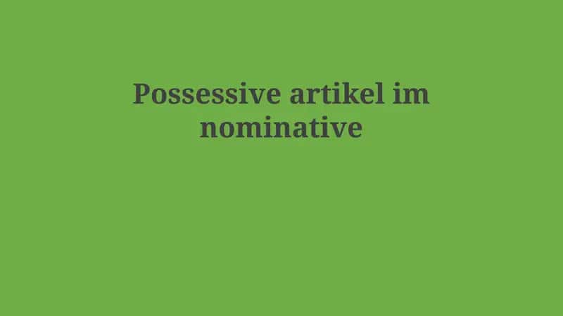 Possessive artikel im nominative 1