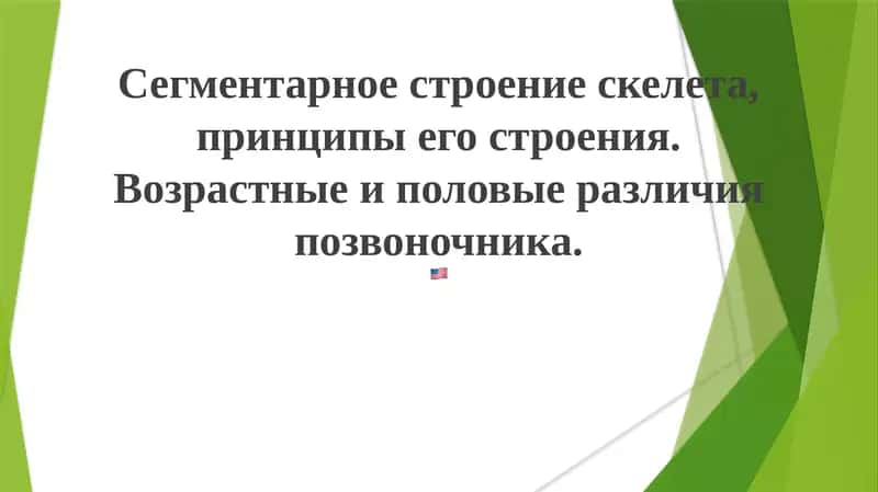 Сегментарное строение скелета и позвоночника 1